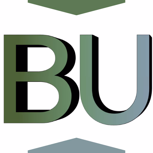 BuNet Bilişim işareti